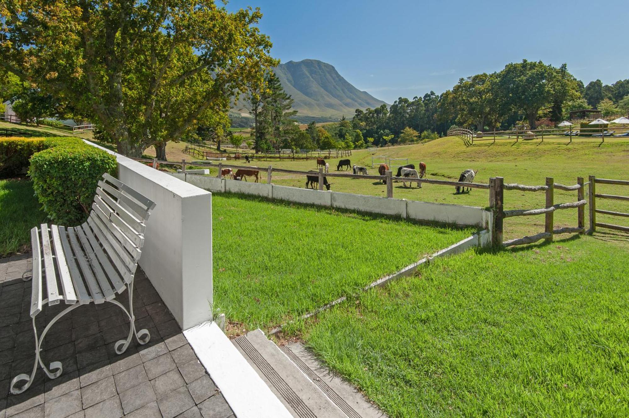 High Season Farm Luxury Cottages Hermanus Exterior photo