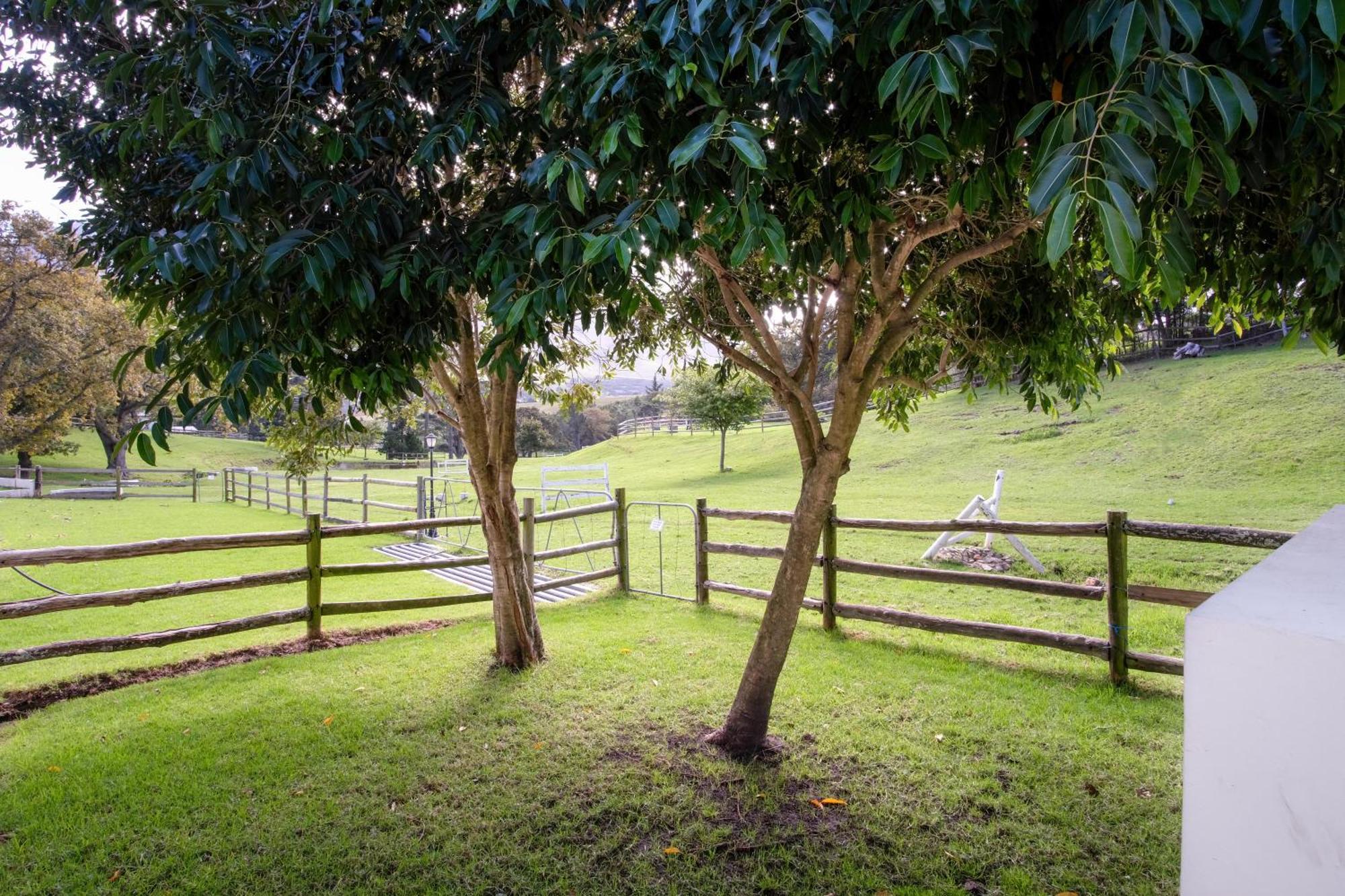 High Season Farm Luxury Cottages Hermanus Room photo